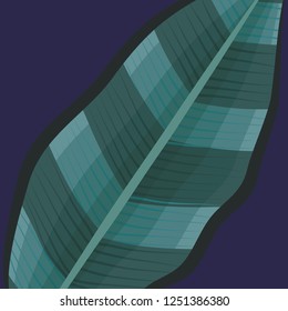 tropical leaves design