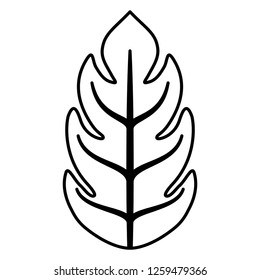 tropical leaves design
