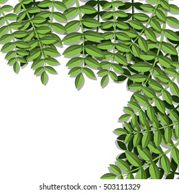 tropical leaves design