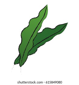 tropical leaves design