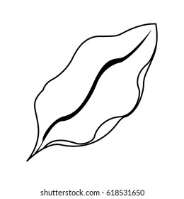 tropical leaves design