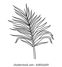 tropical leaves design
