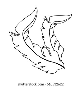 tropical leaves design