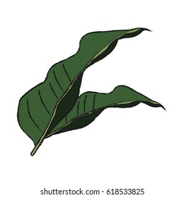 tropical leaves design