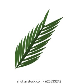 tropical leaves design