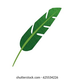 tropical leaves design