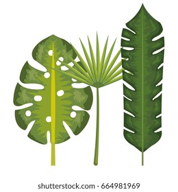 Tropical leaves design