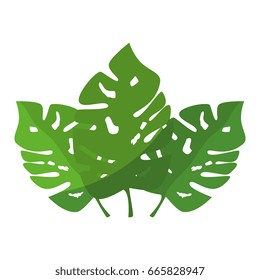 tropical leaves design