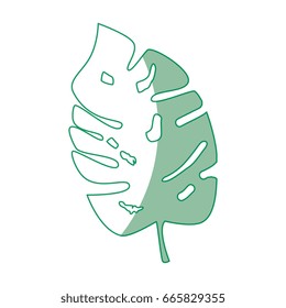 tropical leaves design