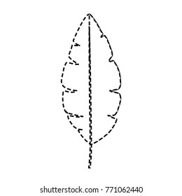 tropical leaves design