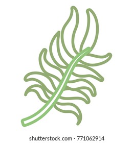 tropical leaves design