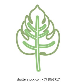 tropical leaves design
