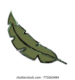 tropical leaves design