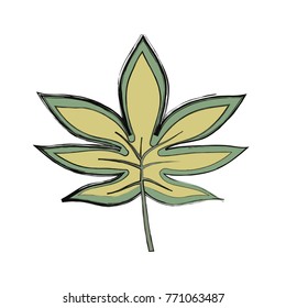 tropical leaves design