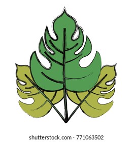 tropical leaves design