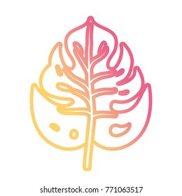 tropical leaves design