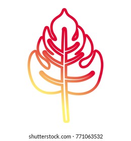 tropical leaves design