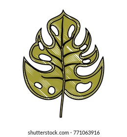 tropical leaves design
