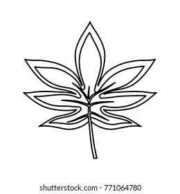 tropical leaves design