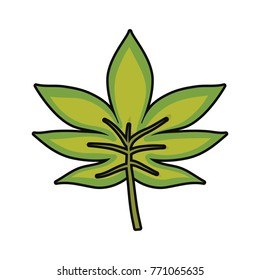 tropical leaves design