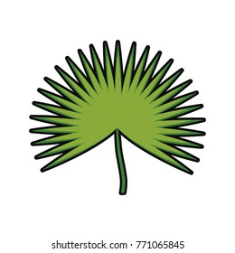 tropical leaves design