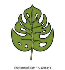 tropical leaves design
