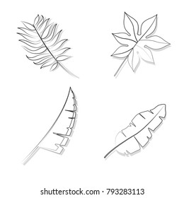 Tropical leaves design