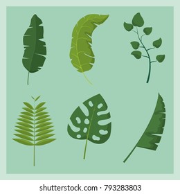 Tropical leaves design