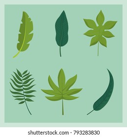 Tropical leaves design