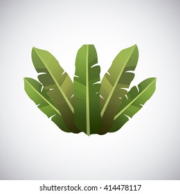 Tropical leaves design. leaf icon. natural concept, vector illustration