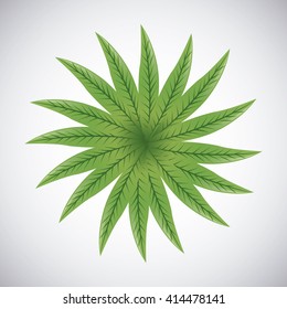 Tropical leaves design. leaf icon. natural concept, vector illustration
