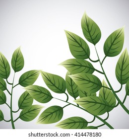 Tropical leaves design. leaf icon. natural concept, vector illustration