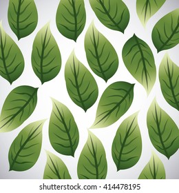 Tropical leaves design. leaf icon. natural concept, vector illustration