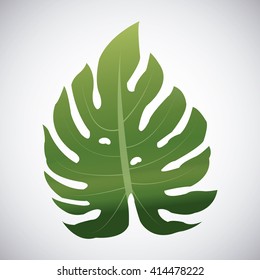 Tropical leaves design. leaf icon. natural concept, vector illustration