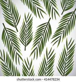 Tropical leaves design. leaf icon. natural concept, vector illustration