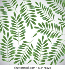 Tropical leaves design. leaf icon. natural concept, vector illustration