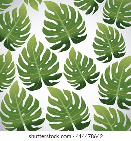 Tropical leaves design. leaf icon. natural concept, vector illustration