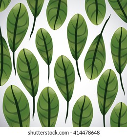 Tropical leaves design. leaf icon. natural concept, vector illustration