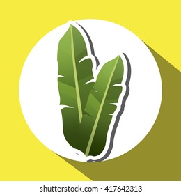 Tropical leaves design. leaf icon. natural concept, vector illustration