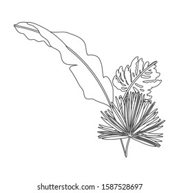Tropical leaves design, Nature summer plant botany tree and decoration theme Vector illustration