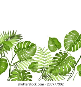 Tropical leaves design for text card. Vector illustration.