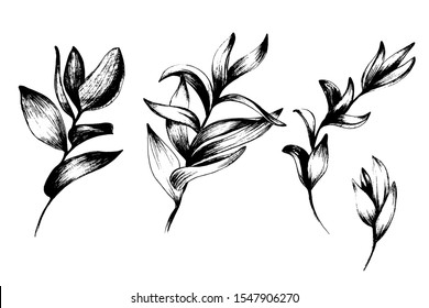 Tropical leaves from different angles, home green plants, palm tree. manual graphics. Botanical flower, pencil, floral element for textile decoration and wallpaper. isolated stock graphics