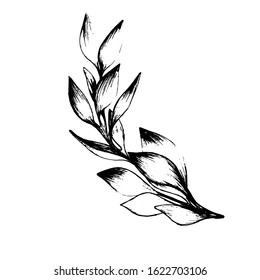 Tropical leaves from different angles, home green plants, palm tree. manual graphics. Botanical flower, pencil, floral element for textile decoration and wallpaper. isolated stock graphics