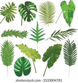 Tropical leaves in different colors and shapes