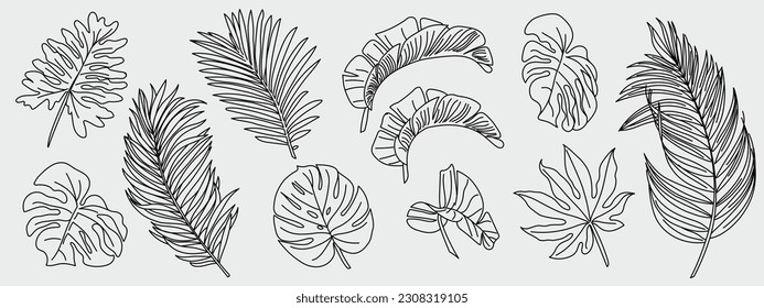 Tropical leaves in doodle style. Hand-drawn black line design vector elements. Exotic summer botanical illustrations. Monster leaves, palm tree, banana leaf.