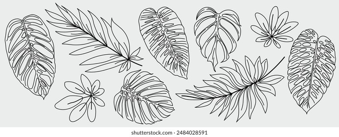 Hojas tropicales en estilo doodle. Elementos de Vector de diseño de línea negra dibujados a mano. Exóticas ilustraciones botánicas de verano. Hojas de monstruo, palmera, hoja de plátano