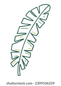 Tropical leaves in doodle style. Vector black line design element. Exotic summer botanical illustration.