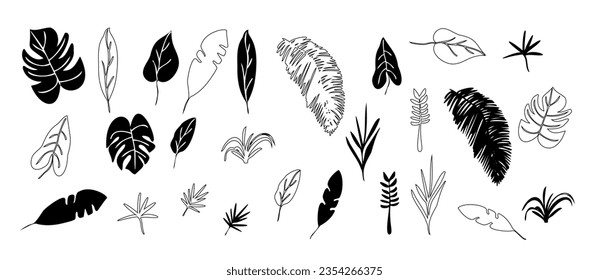 Hojas tropicales al estilo doodle. Elementos de diseño bptánico dibujados a mano por vectores. Hojas de monstera, palmas, hojas de plátano.