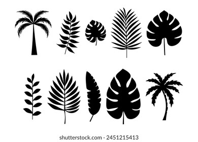 Tropical Leaves in doodle style. Vector elements. silhouette of Exotic summer botanical. Monstera leaves, palm, banana leaf. palm tree silhouette.