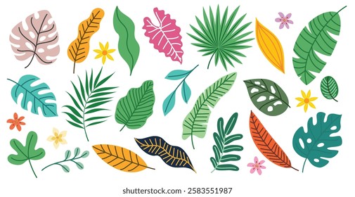 Tropical leaves drawing clipart set. Summer colorful leaf outline clip art like palm, coconut, monstera, hibiscus and fern graphic elements collection vector illustration.